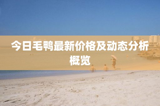 今日毛鸭最新价格及动态分析概览