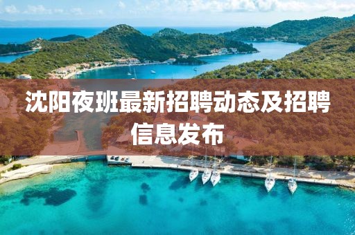 沈阳夜班最新招聘动态及招聘信息发布