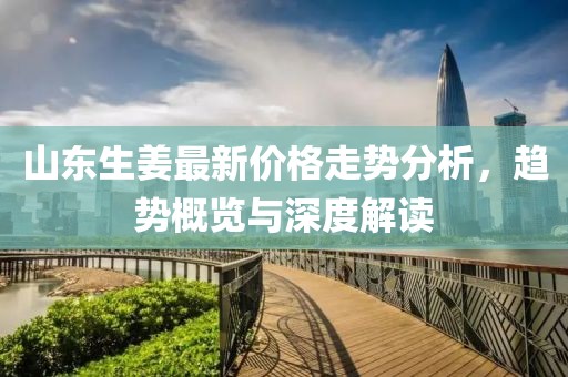 山东生姜最新价格走势分析，趋势概览与深度解读