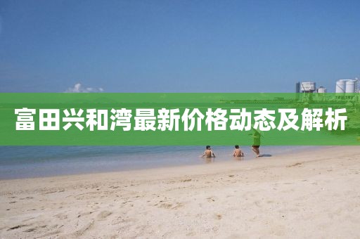 富田兴和湾最新价格动态及解析