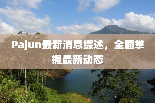Pajun最新消息综述，全面掌握最新动态