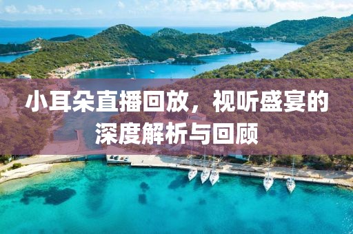 小耳朵直播回放，视听盛宴的深度解析与回顾