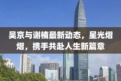 吴京与谢楠最新动态，星光熠熠，携手共赴人生新篇章