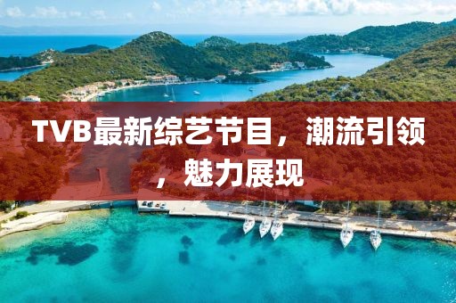 TVB最新综艺节目，潮流引领，魅力展现