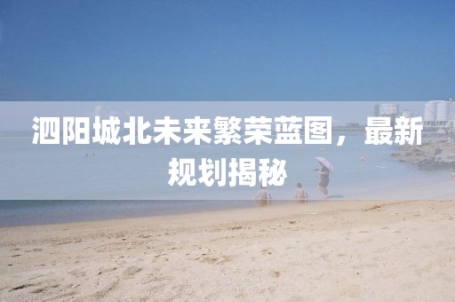 泗阳城北未来繁荣蓝图，最新规划揭秘