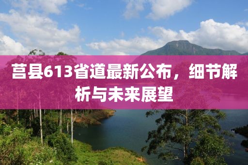 莒县613省道最新公布，细节解析与未来展望