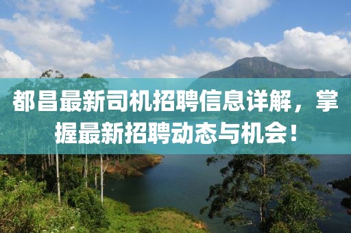 都昌最新司机招聘信息详解，掌握最新招聘动态与机会！