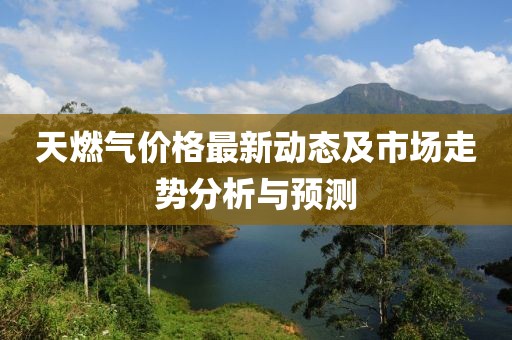 天燃气价格最新动态及市场走势分析与预测