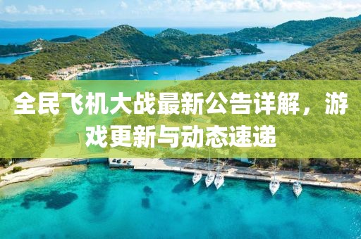 全民飞机大战最新公告详解，游戏更新与动态速递