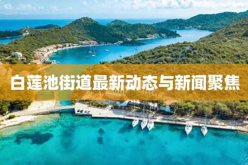 白莲池街道最新动态与新闻聚焦