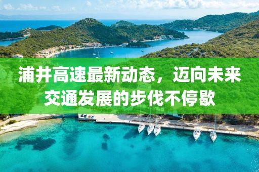 浦井高速最新动态，迈向未来交通发展的步伐不停歇