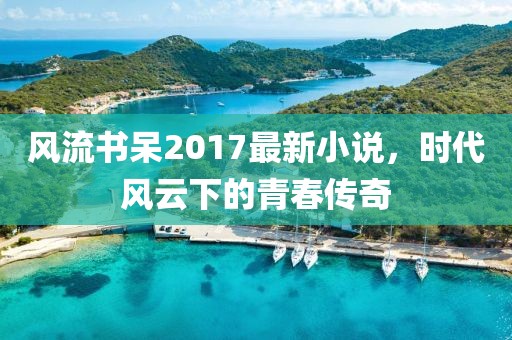 风流书呆2017最新小说，时代风云下的青春传奇