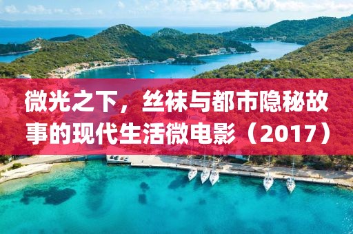微光之下，丝袜与都市隐秘故事的现代生活微电影（2017）