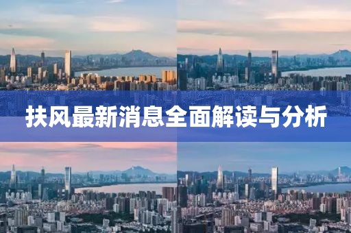扶风最新消息全面解读与分析
