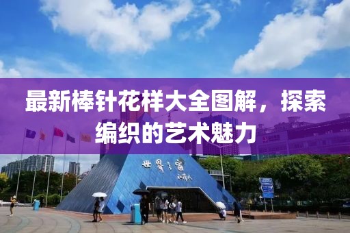 最新棒针花样大全图解，探索编织的艺术魅力