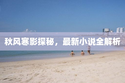 秋风寒影探秘，最新小说全解析