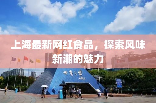 上海最新网红食品，探索风味新潮的魅力