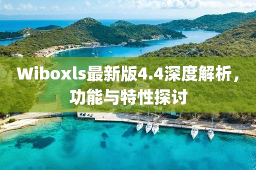Wiboxls最新版4.4深度解析，功能与特性探讨