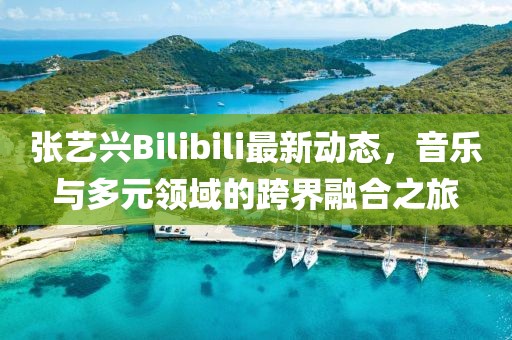 张艺兴Bilibili最新动态，音乐与多元领域的跨界融合之旅