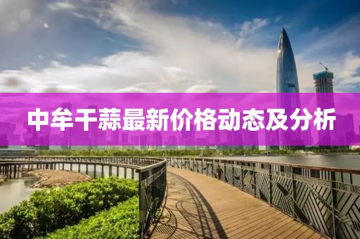 中牟干蒜最新价格动态及分析