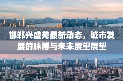 邯郸兴盛苑最新动态，城市发展的脉搏与未来展望展望