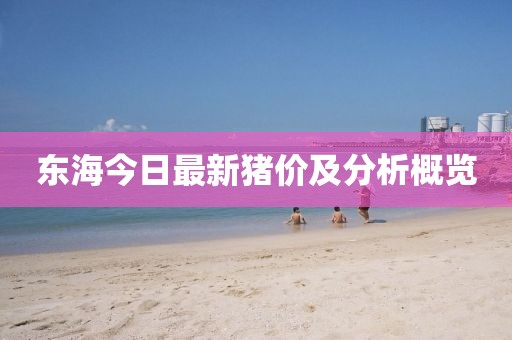 东海今日最新猪价及分析概览