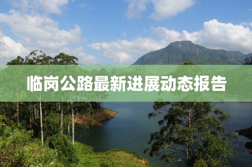临岗公路最新进展动态报告