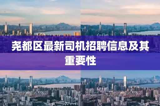 尧都区最新司机招聘信息及其重要性