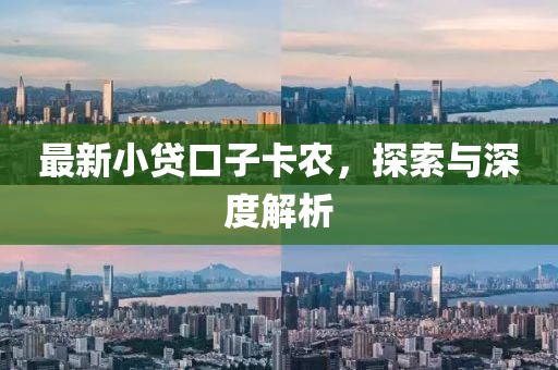 最新小贷口子卡农，探索与深度解析