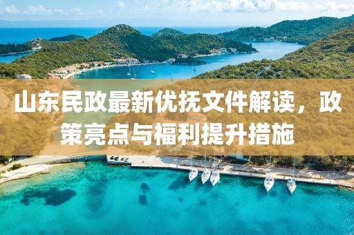 山东民政最新优抚文件解读，政策亮点与福利提升措施