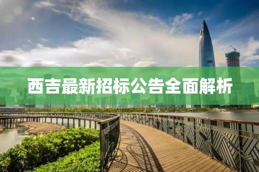 西吉最新招标公告全面解析