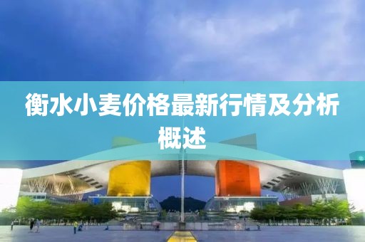衡水小麦价格最新行情及分析概述
