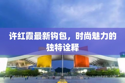 许红霞最新钩包，时尚魅力的独特诠释