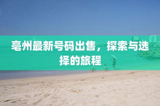 亳州最新号码出售，探索与选择的旅程