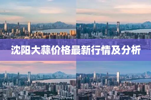 沈阳大蒜价格最新行情及分析
