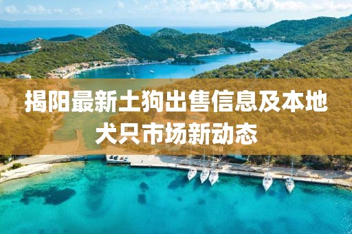 2025年3月10日 第7页