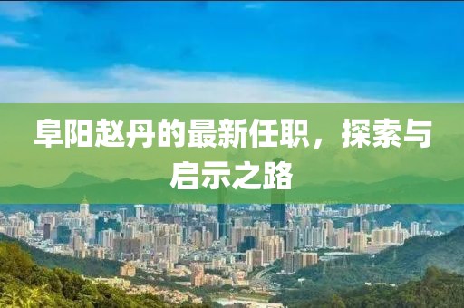 阜阳赵丹的最新任职，探索与启示之路