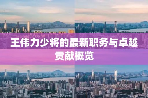 王伟力少将的最新职务与卓越贡献概览