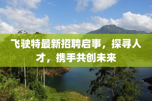飞驶特最新招聘启事，探寻人才，携手共创未来
