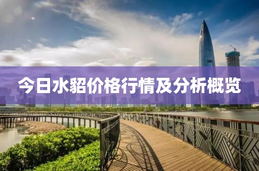 今日水貂价格行情及分析概览