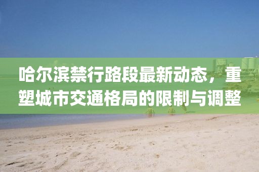 哈尔滨禁行路段最新动态，重塑城市交通格局的限制与调整