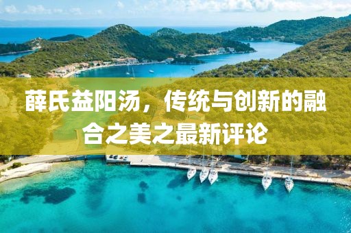 薛氏益阳汤，传统与创新的融合之美之最新评论