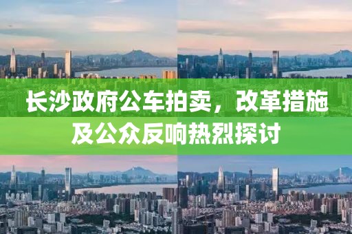 长沙政府公车拍卖，改革措施及公众反响热烈探讨