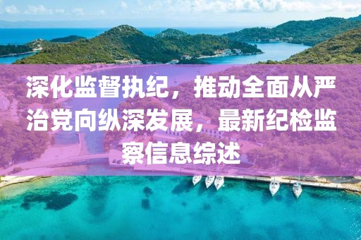 深化监督执纪，推动全面从严治党向纵深发展，最新纪检监察信息综述