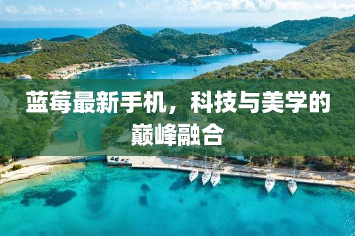 蓝莓最新手机，科技与美学的巅峰融合