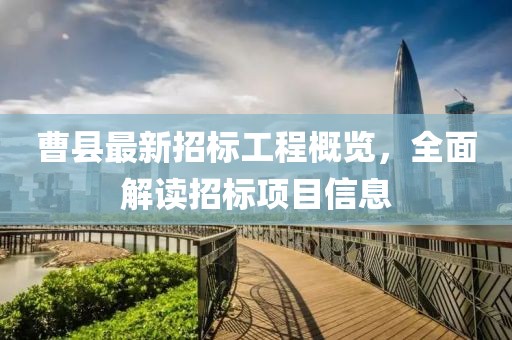 曹县最新招标工程概览，全面解读招标项目信息