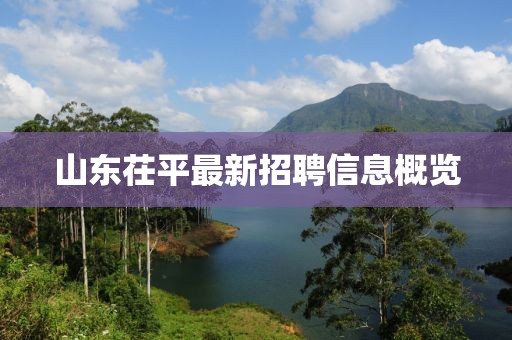 山东茌平最新招聘信息概览