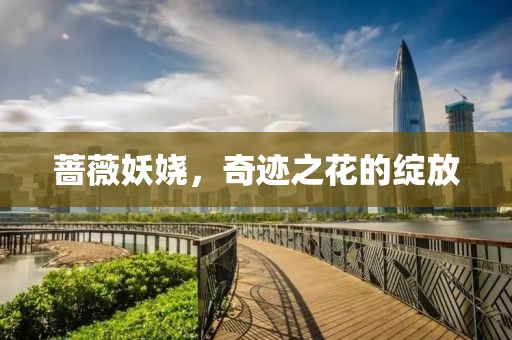 蔷薇妖娆，奇迹之花的绽放
