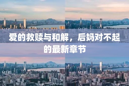 爱的救赎与和解，后妈对不起的最新章节