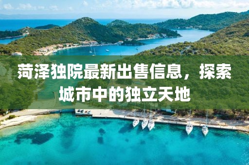 菏泽独院最新出售信息，探索城市中的独立天地